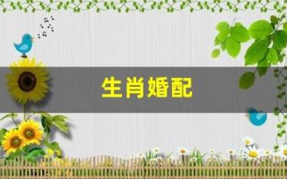 生肖婚配(01年和03年的生肖婚配)