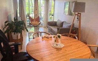 趣味星座(有趣星座)