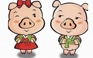 属猪男最佳婚配(96年属猪男最佳婚配) 属猪男最佳婚配(96年属猪男最佳婚配)