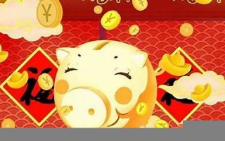 属猪人2013年运势(属猪13年多大)