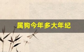 属狗今年多大年纪(属虎今年多大年纪) 属狗今年多大年纪(属虎今年多大年纪)
