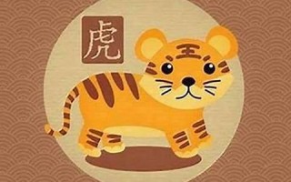属虎人出生月的命运(属虎人出生月的命运详解) 属虎人出生月的命运(属虎人出生月的命运详解)