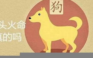 94年属什么(94年属什么生肖最佳配偶) 94年属什么(94年属什么生肖最佳配偶)