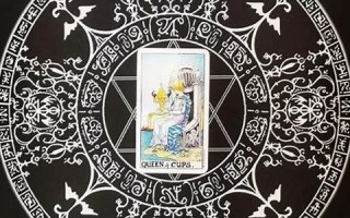 塔罗网(塔罗网免费)