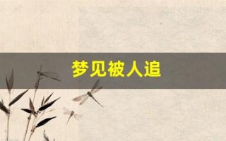 梦见被人追(梦见被人追着跑到处躲)
