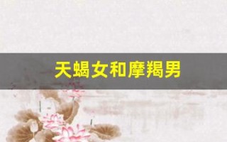 天蝎女和摩羯男(天蝎女和摩羯男的匹配度) 天蝎女和摩羯男(天蝎女和摩羯男的匹配度)