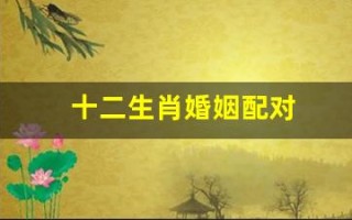 十二生肖婚姻配对(十二生肖婚姻配对禁忌)