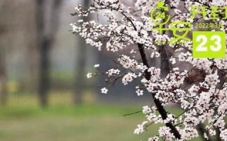 二月廿二(二月廿三是几月几日)