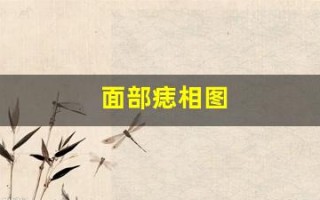 面部痣相图(面部痣相图解女人左右怎么看) 面部痣相图(面部痣相图解女人左右怎么看)