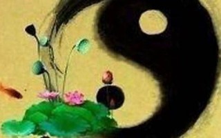 2021年属马人的全年运势(2022年属马人的全年运势)