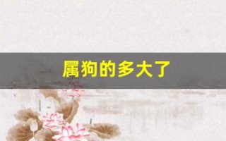 属狗的多大了(属羊的多大了) 属狗的多大了(属羊的多大了)
