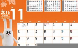 2016年11月11日(2016年11月11日是什么星座)
