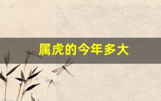 属虎的今年多大(属鼠今年多大年纪) 属虎的今年多大(属鼠今年多大年纪)