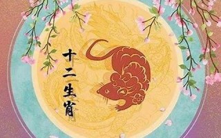 属鼠人2022年全年运势运程(属鼠人2022年全年运势运程男性)