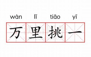 万里挑一是什么生肖(万里挑一猜生肖)