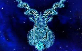 魔羯(摩羯座) 魔羯(摩羯座)