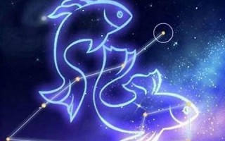 双鱼座和什么星座配(双鱼座和什么星座配最好) 双鱼座和什么星座配(双鱼座和什么星座配最好)