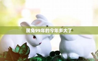 03年的今年多大了(03年的今年多大了属马) 03年的今年多大了(03年的今年多大了属马)