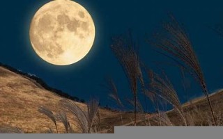 9月10(9月10号是什么节日)