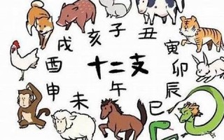 2012什么生肖(2012什么生肖属相)