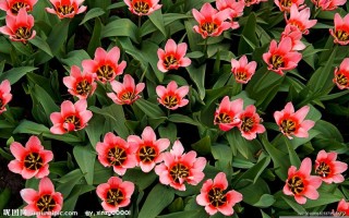 2015年2月(2015年2月有多少天)