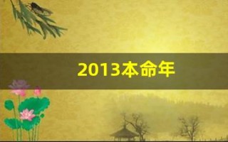 2013本命年(2013本命年文案)