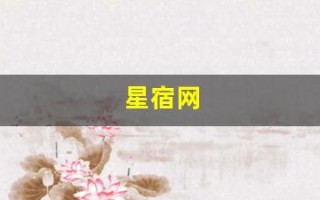 星宿网(星宿网络科技)