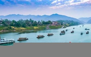 百舸竞渡是什么生肖(百舸竞帆)