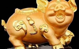 属猪(相克相冲)