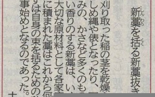 2016年11月4日(2016年11月4日出生性格命运)