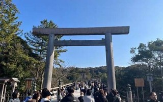 12月31日(12月31日是什么星座)