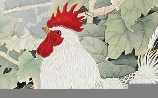 属鸡人2013年运势(属鸡人2013年运势运程) 属鸡人2013年运势(属鸡人2013年运势运程)