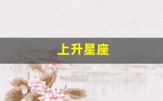 上升星座(上升星座是什么意思)