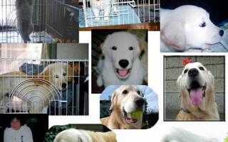 2012年8月3日(2012年8月3日出生是什么命)