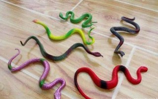 做梦梦见蛇缠身(把蛇打死了)