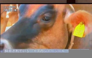 4月14日(4月14日出生的名人)