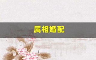 属相婚配(属相婚配十二生肖配对表) 属相婚配(属相婚配十二生肖配对表)