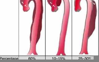 ab型血人的性格(AB型血人的性格特点及婚姻)