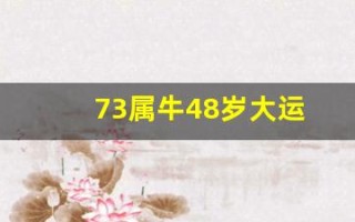 73属牛48岁大运(73年属牛)