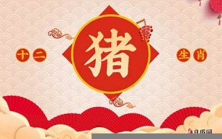 属猪人出生月的命运(属猪人出生月的命运) 属猪人出生月的命运(属猪人出生月的命运)