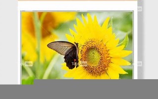 九月十四(九月十四出生的男孩命运)