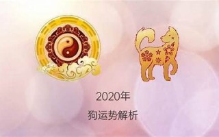 属狗2020年运势(属狗2020年运势及运程详解) 属狗2020年运势(属狗2020年运势及运程详解)