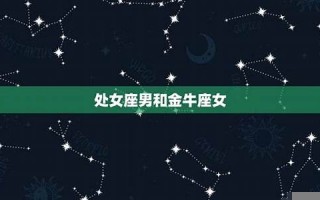 处女座男(处女座男和处女座女配对指数) 处女座男(处女座男和处女座女配对指数)
