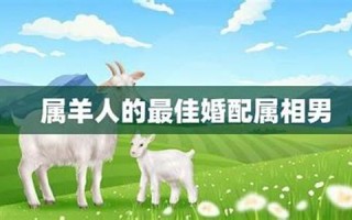 属羊男最佳婚配(属羊男最佳婚配前十名属相) 属羊男最佳婚配(属羊男最佳婚配前十名属相)