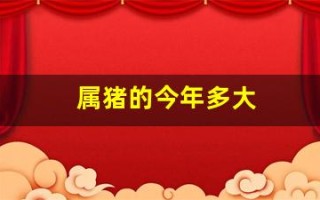 属猪的今年多大(属猪的今年多大年龄1995) 属猪的今年多大(属猪的今年多大年龄1995)