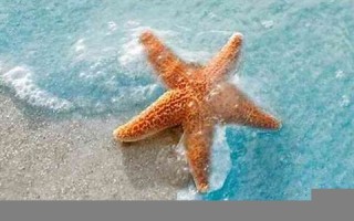 梦见大海(梦见大海水涨很高要冲过来)