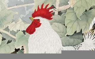 2013年属鸡人的运程(139年属鸡) 2013年属鸡人的运程(139年属鸡)