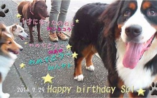 2014年7月7日(2014年7月7日出生是什么命)