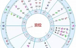 星盘(星盘十二宫位详解图) 星盘(星盘十二宫位详解图)