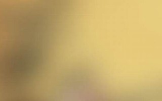 1973年属牛的人2013年运程(1973年属牛的人2020年运势及运程大全解析)